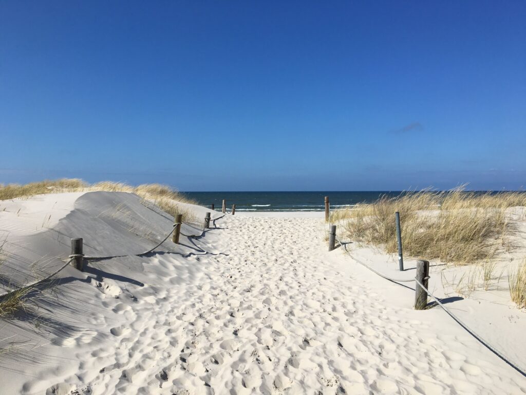Renesse