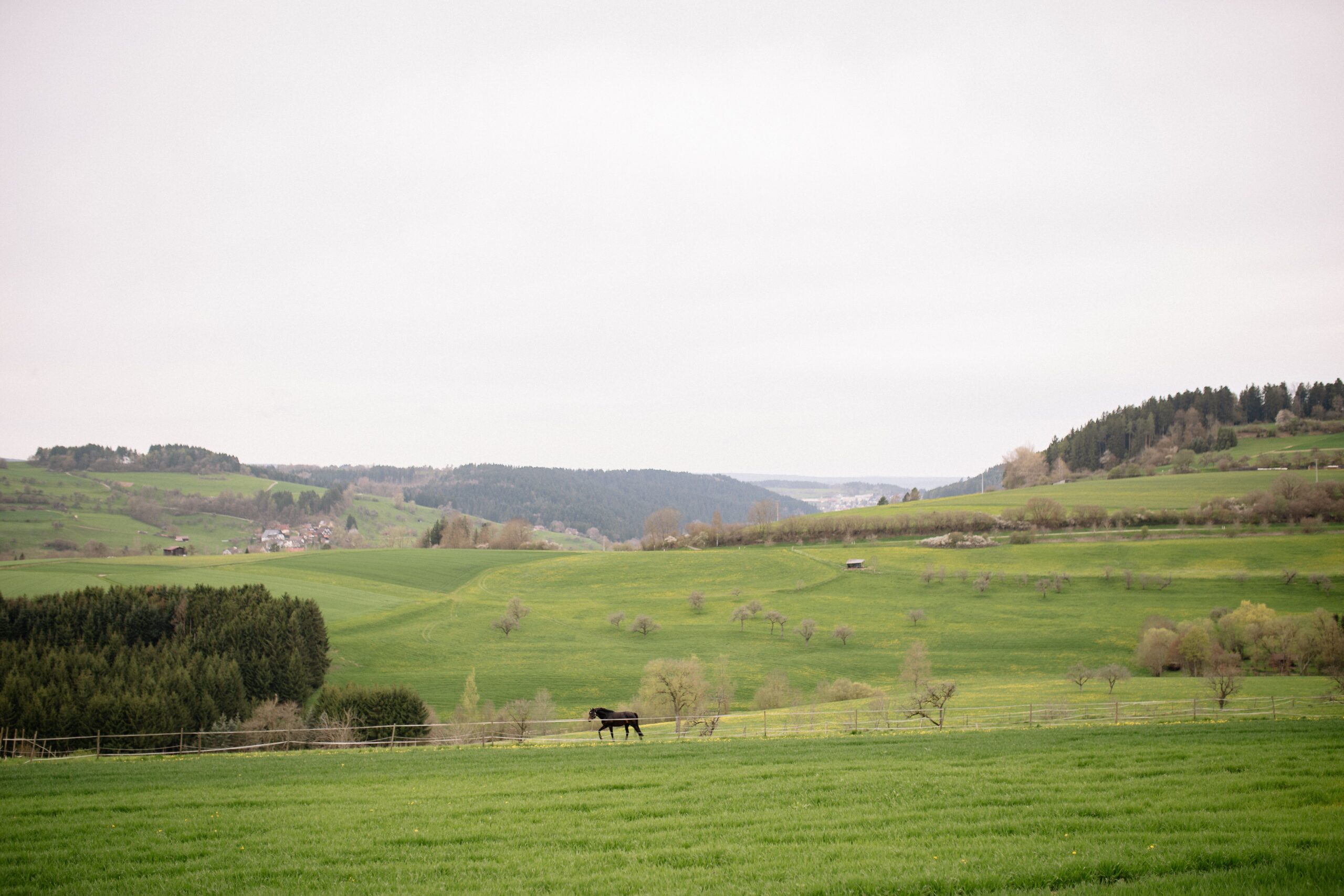 Beitrag 02